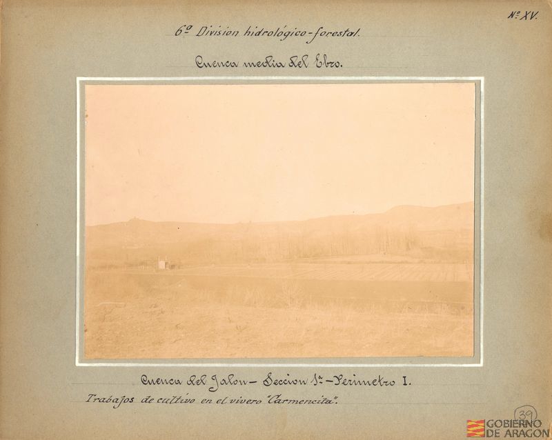 Cuenca del río Jalón. 1ª Sección-Perímetro I. 1. Trabajos de cultivo en el vivero "Carmencita"